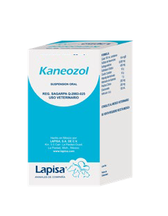 Kaneozol Suspensión Oral 120 mL